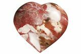 Polished Triassic Petrified Wood Heart - Madagascar #194897-1